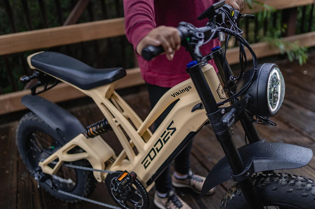 1000W Mountain Adult Electric Bicycle 48V20AH Off-Road Bike